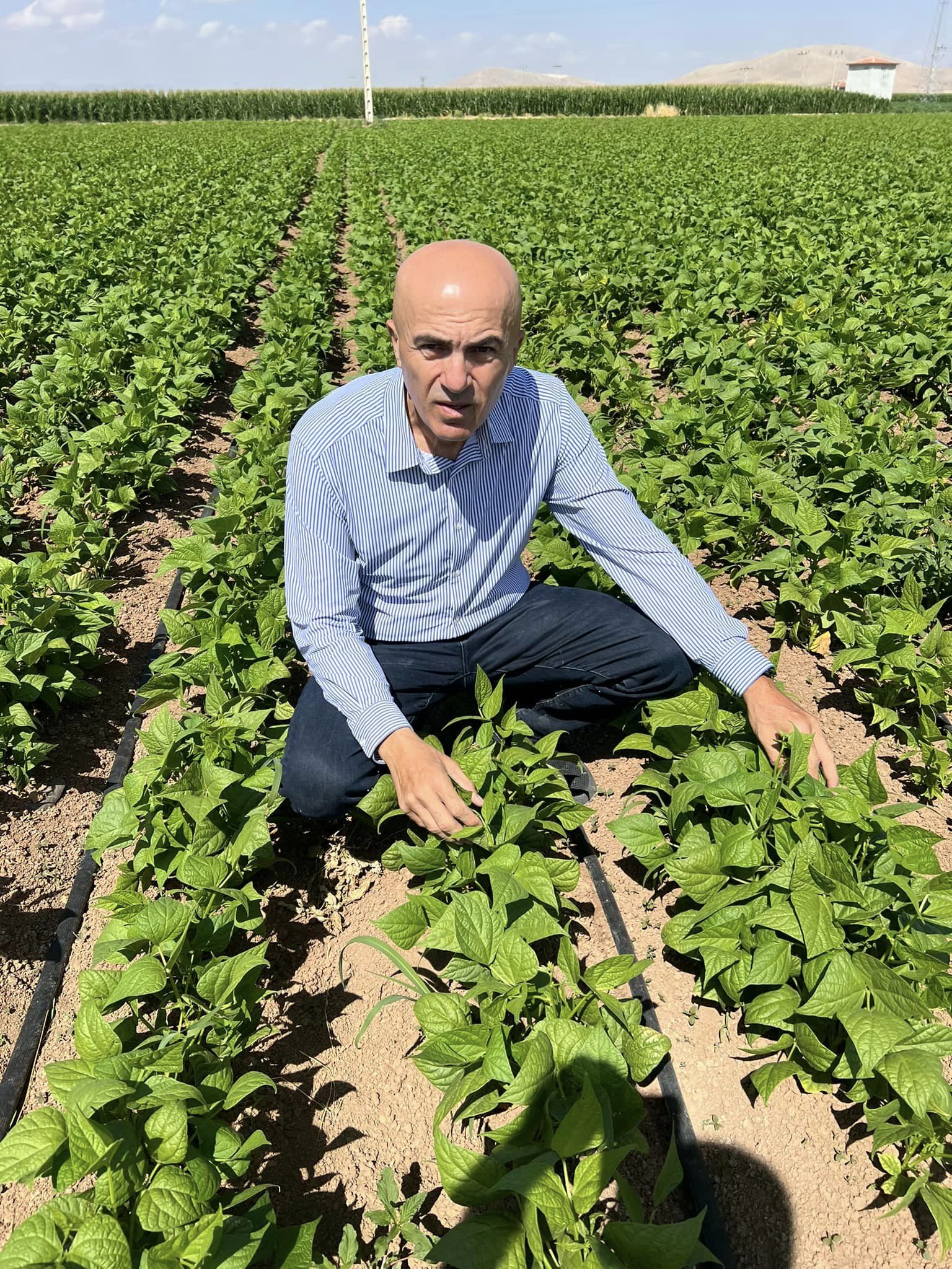 Serbest piyasa kisvesi altında bilinçli ve planlı soygun yapılıyor