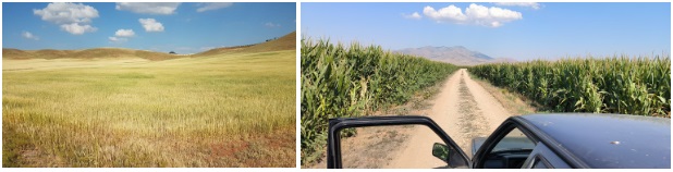 Kuraklık Karaman'ı vurdu