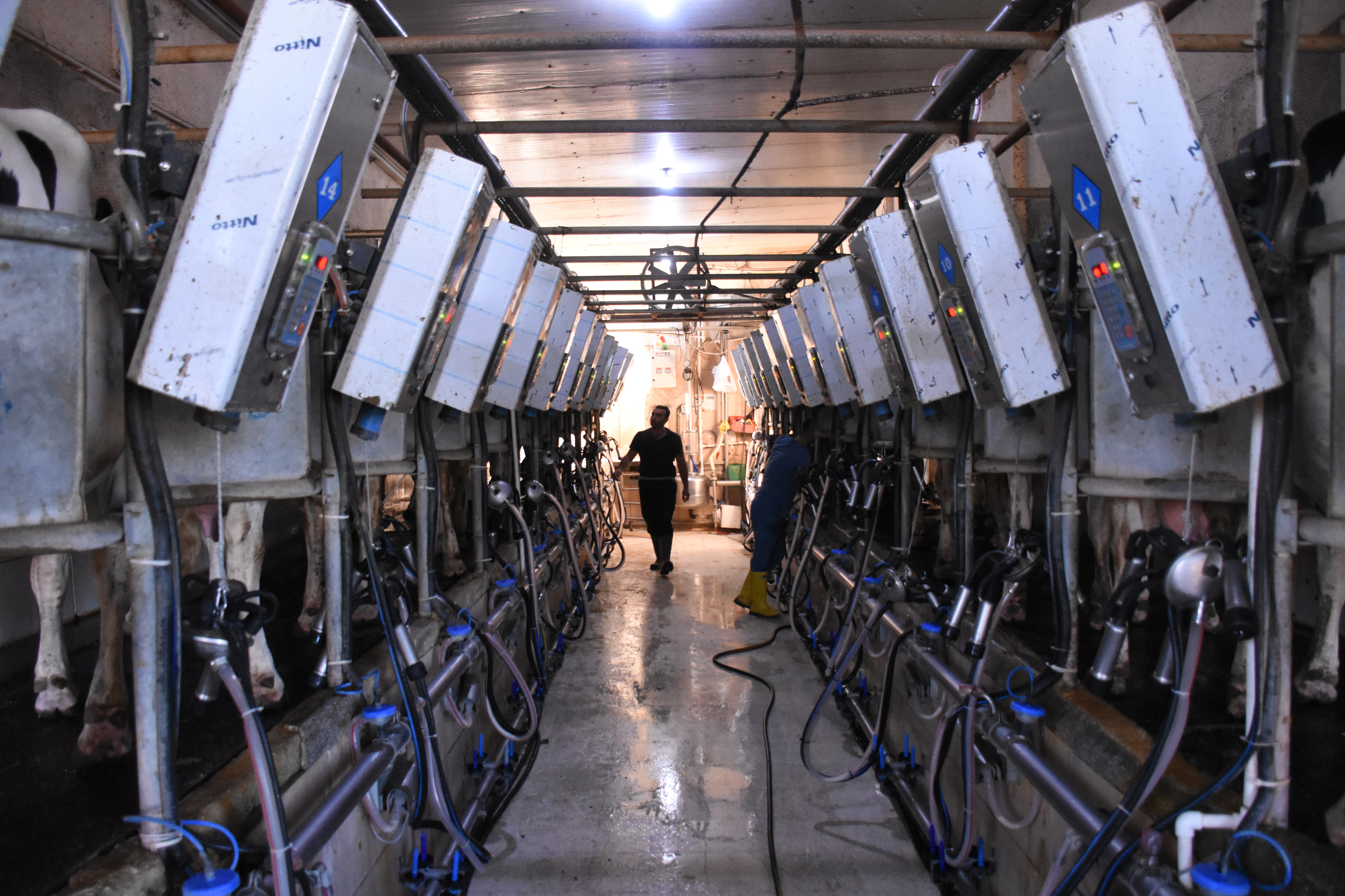 Karaman'ın örnek köyü