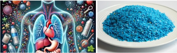 İnsan vücudu tehlike altında