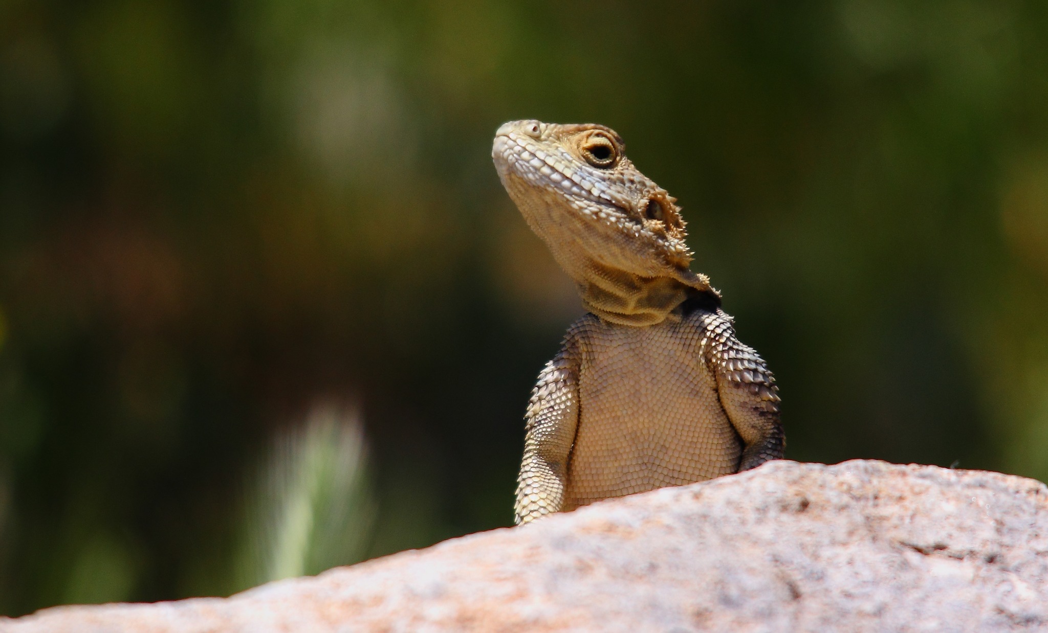 İşte Karaman doğasındaki 2 zarafet