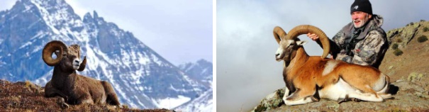 Karaman dünyaya damgasını vurdu