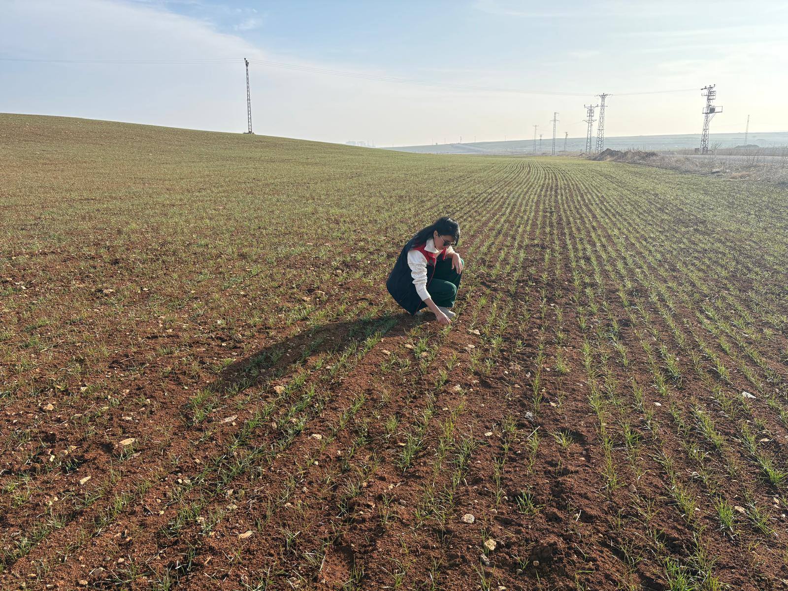 Karaman'daki üreticiler destekleniyor