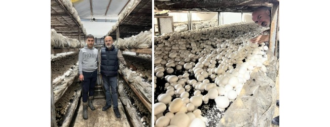 Karaman'daki üreticiden örnek başarı