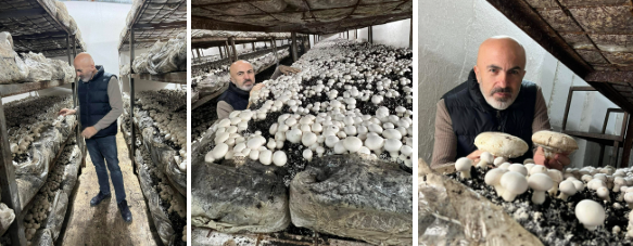 Karaman'daki üreticiden örnek başarı