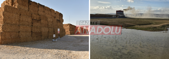 Karaman yanarken gözyaşları küllere bulanıyor