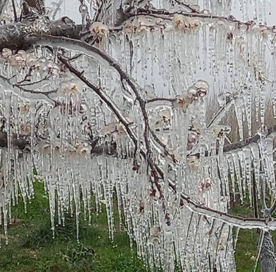 Karaman çiftçisi can simidi bekliyor