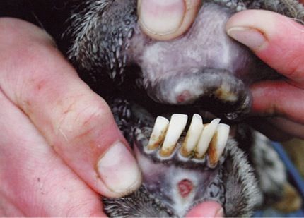 Karaman'da alarm! 10 köy ve bir belde karantinaya alındı