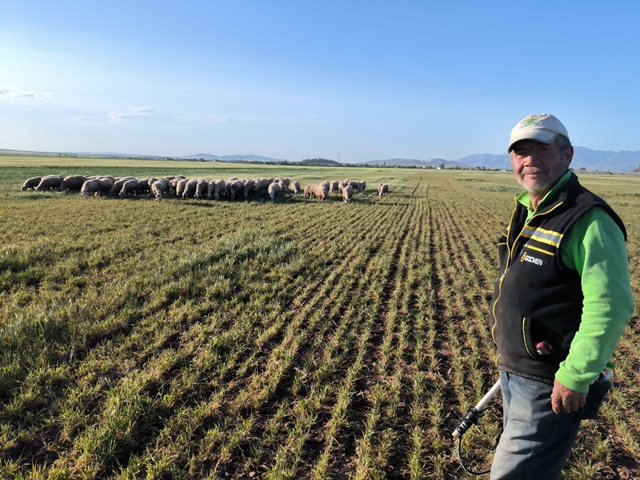 Yollarbaşılı çobanın vicdanı konuştu: Sahipsizlere görev sürüye güven