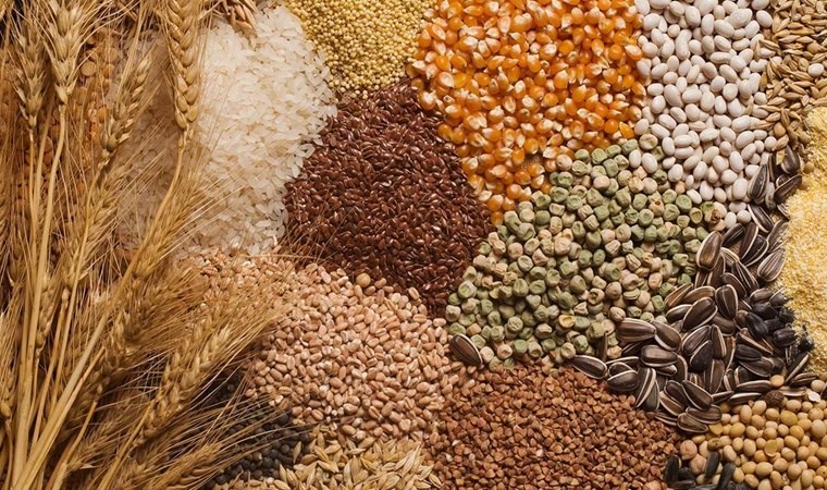 Buğdaya Zam Geldi! İşte Güncel Hububat Fiyatları!