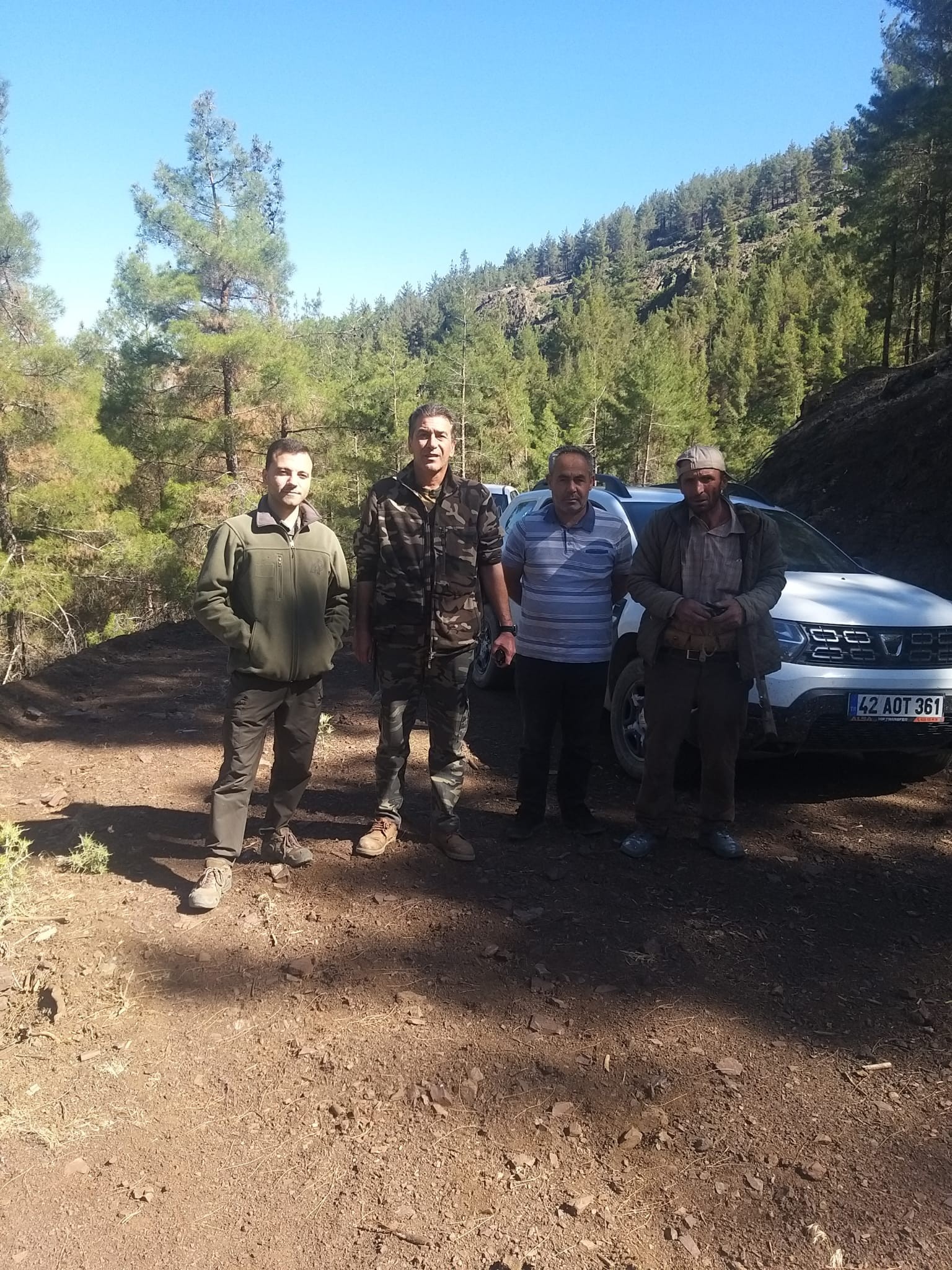 Domuzlar tarlalardan temizleniyor