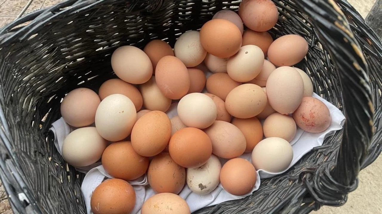 Yumurta 70 Kuruş Zamlandı! İşte Zamlı Yumurta Fiyatları!