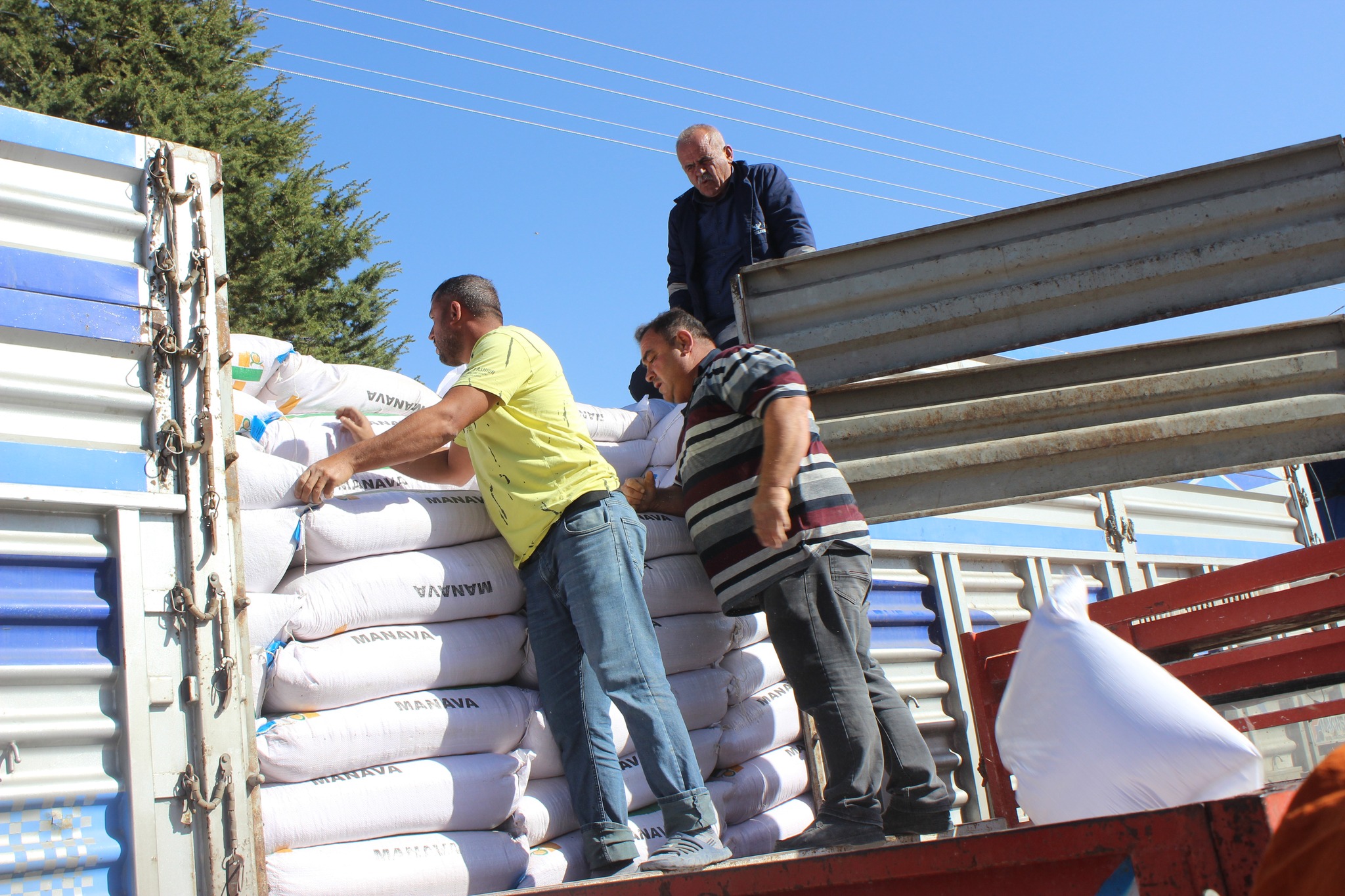 Karaman'da arpa tohumu dağıtıldı-1