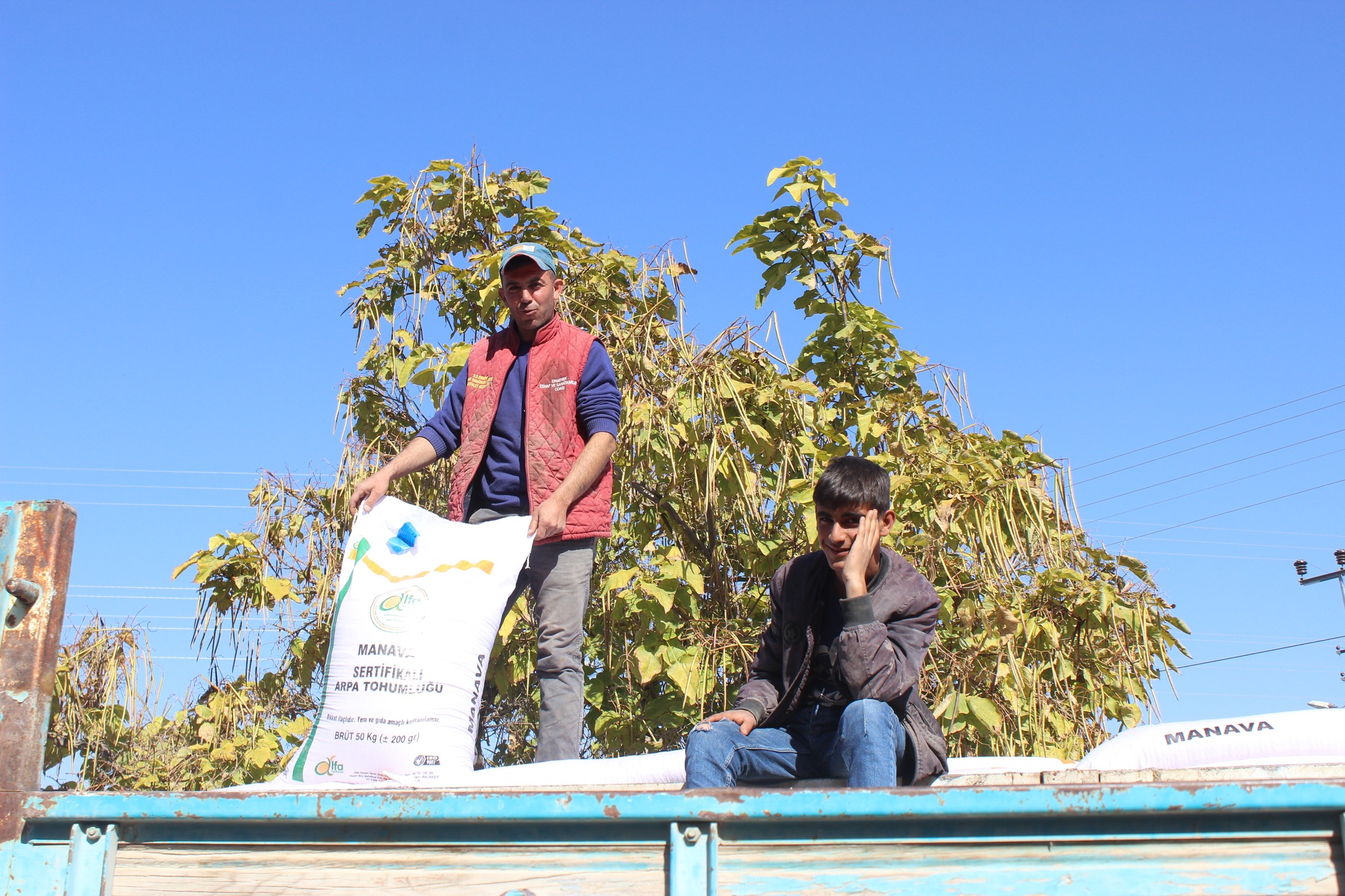 Karaman'da arpa tohumu dağıtıldı-4