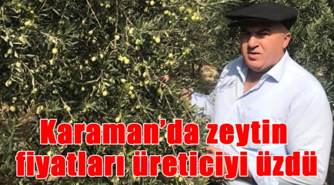 Karaman'da zeytin fiyatları üreticiyi üzdü