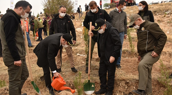 Karaman’da fidanlar toprakla buluştu