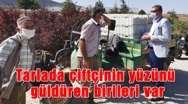Tarlada çiftçinin yüzünü güldüren birileri var