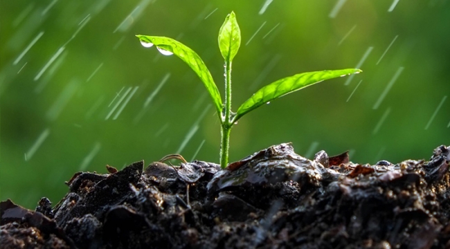 Yaşamın temel kaynakları: Toprak ve Su 