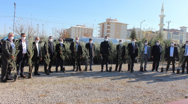 Çiftçilere zeytin ve badem fidanı dağıtıldı