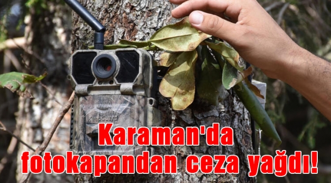 Karaman'da fotokapandan ceza yağdı!