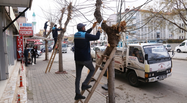 Karaman’da budanan dallar geri dönüşüme kazandırılıyor
