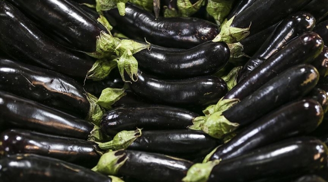 Karaman’da patlıcan cep yaktı