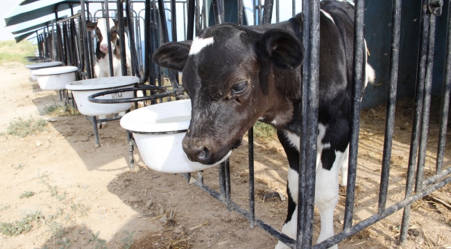 KOP’tan önemli bir yayın daha
