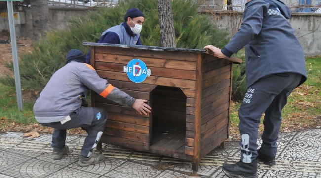 MEDAŞ sevimli dostları unutmadı