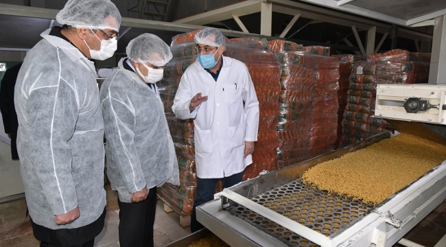 Vali Işık Kâzımkarabekir’de incelemelerde bulundu