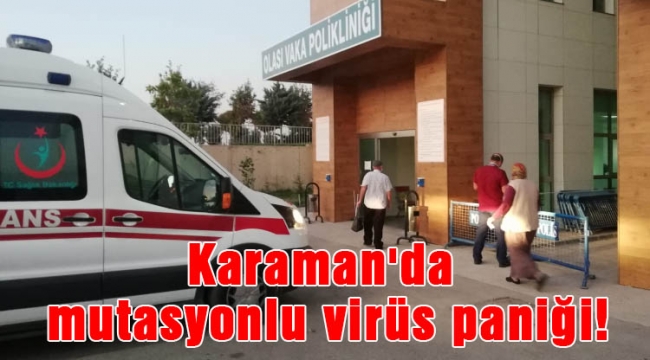 Karaman&#039;da mutasyonlu virüs paniği!