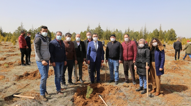 Başkan Kalaycı Fidan Dikti