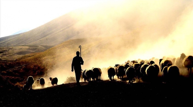 İŞKUR’dan engellilere özel kurs 