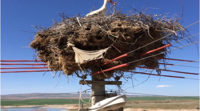 Doğal yaşamı koruyan kaliteli yerli hizmet