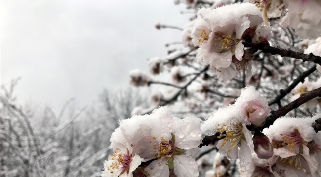 Karaman'a çok önemli uyarı!