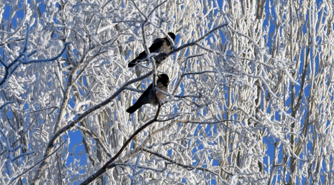 Karaman buz kesecek!
