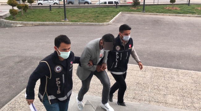 Karaman'da bonzai satıcısı tutuklandı