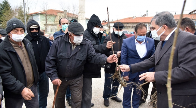 Karaman'da vatandaşlara fidan dağıtıldı