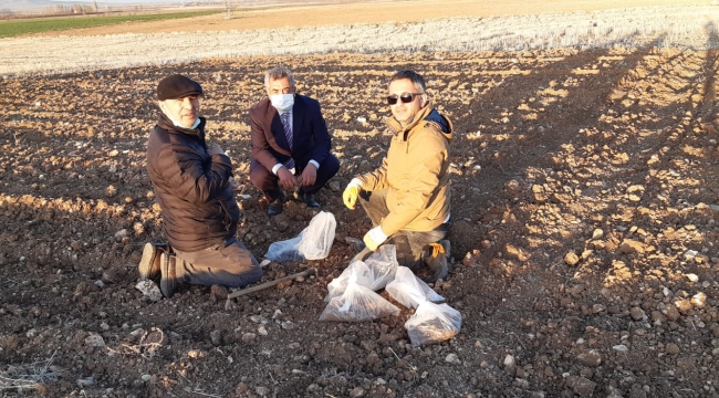 Nohut ve yeşil mercimek ekimi yapıldı