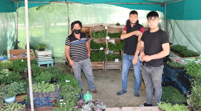 Tam kapanma ilgiyi arttırdı