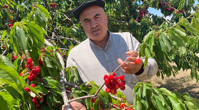 Avrupa ve Asya’nın Kirazı Karaman’dan 