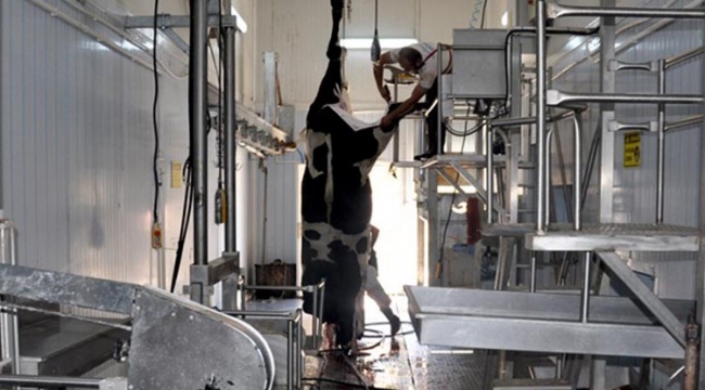 Ermenek’te kurban kesim fiyatları belli oldu