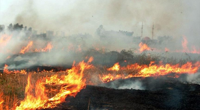 Karaman'da çiftçilere "Anız yakma" uyarısı