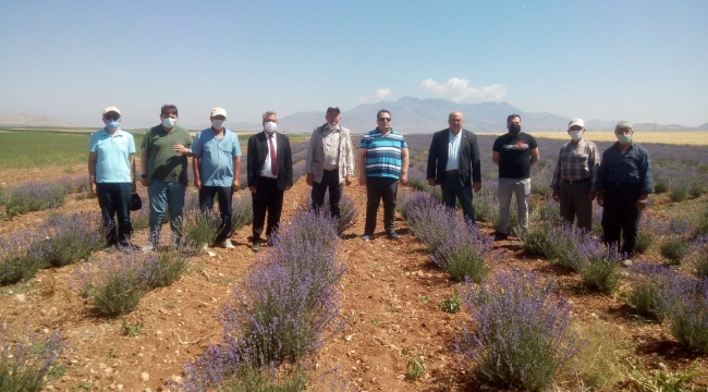 Karaman’da lavanta eğitim verildi