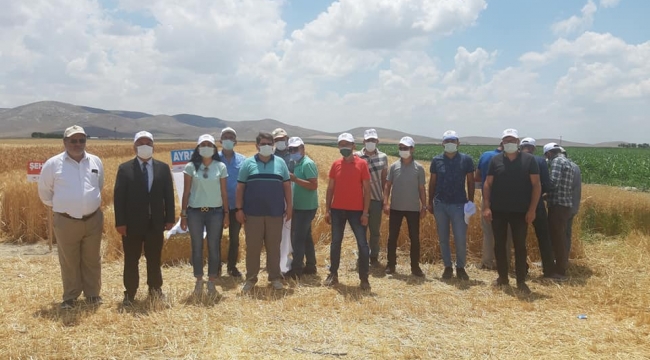 Karaman'da tarla günü düzenlendi