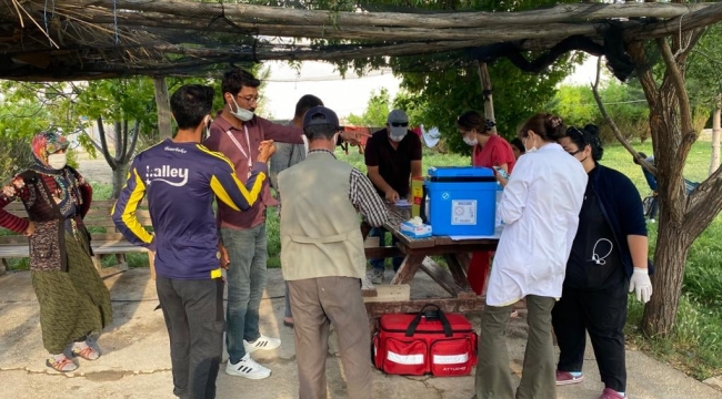 Karaman'da tarlada aşı uygulaması