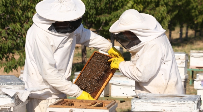 Konuk; “Tüketici organik kaz eti ve balla buluşuyor”