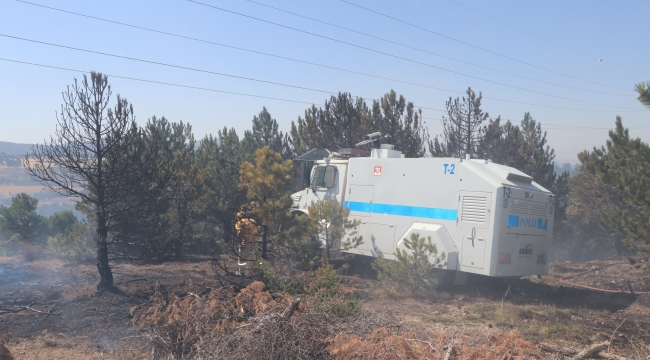 Karaman'da ormanlık alanda çıkan yangın söndürüldü