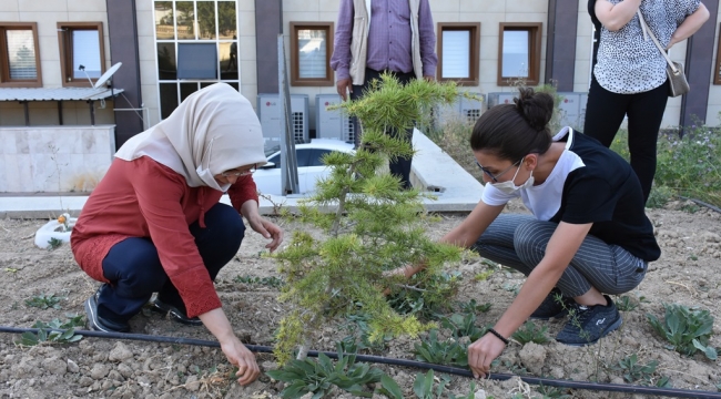 Fidanların bakımını yaptılar