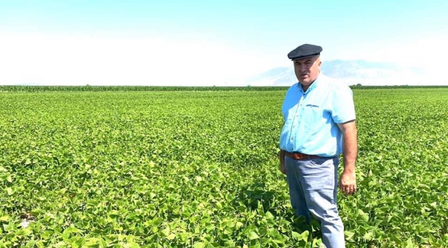 Karaman'da fasulye hasadı başlıyor