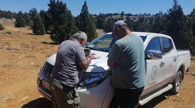 Karaman'da ceza yağdı